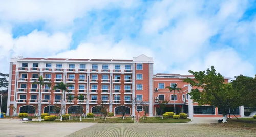 集大海外教育学院凝心聚力抗疫情 集思广议谋发展