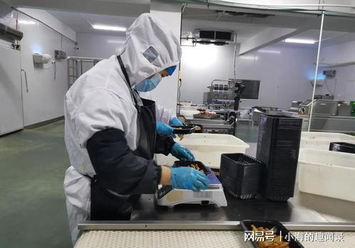 为什么外国工人离职率很低？德国工厂教你三招，学到就是赚到